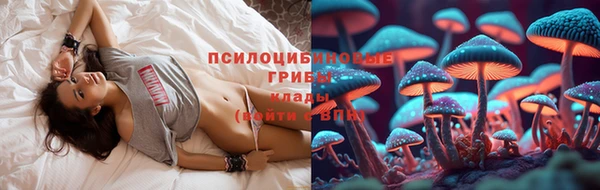 дживик Кодинск