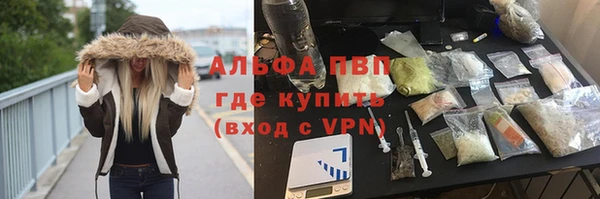 шишки Корсаков