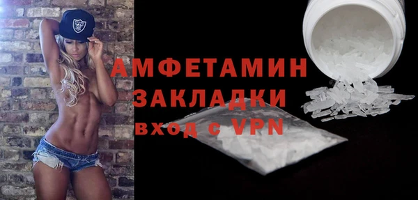 шишки Корсаков