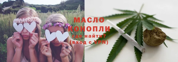 шишки Корсаков
