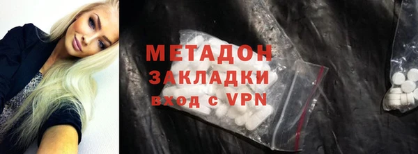 шишки Корсаков