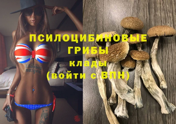 марки lsd Костерёво