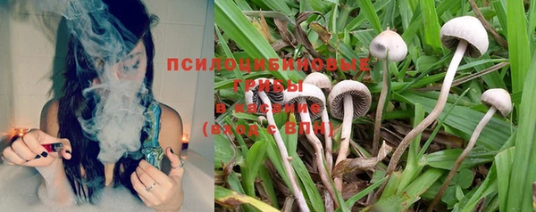прущий лед Краснослободск