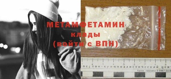 шишки Корсаков