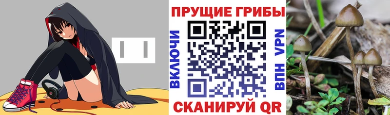 Галлюциногенные грибы MAGIC MUSHROOMS Называевск